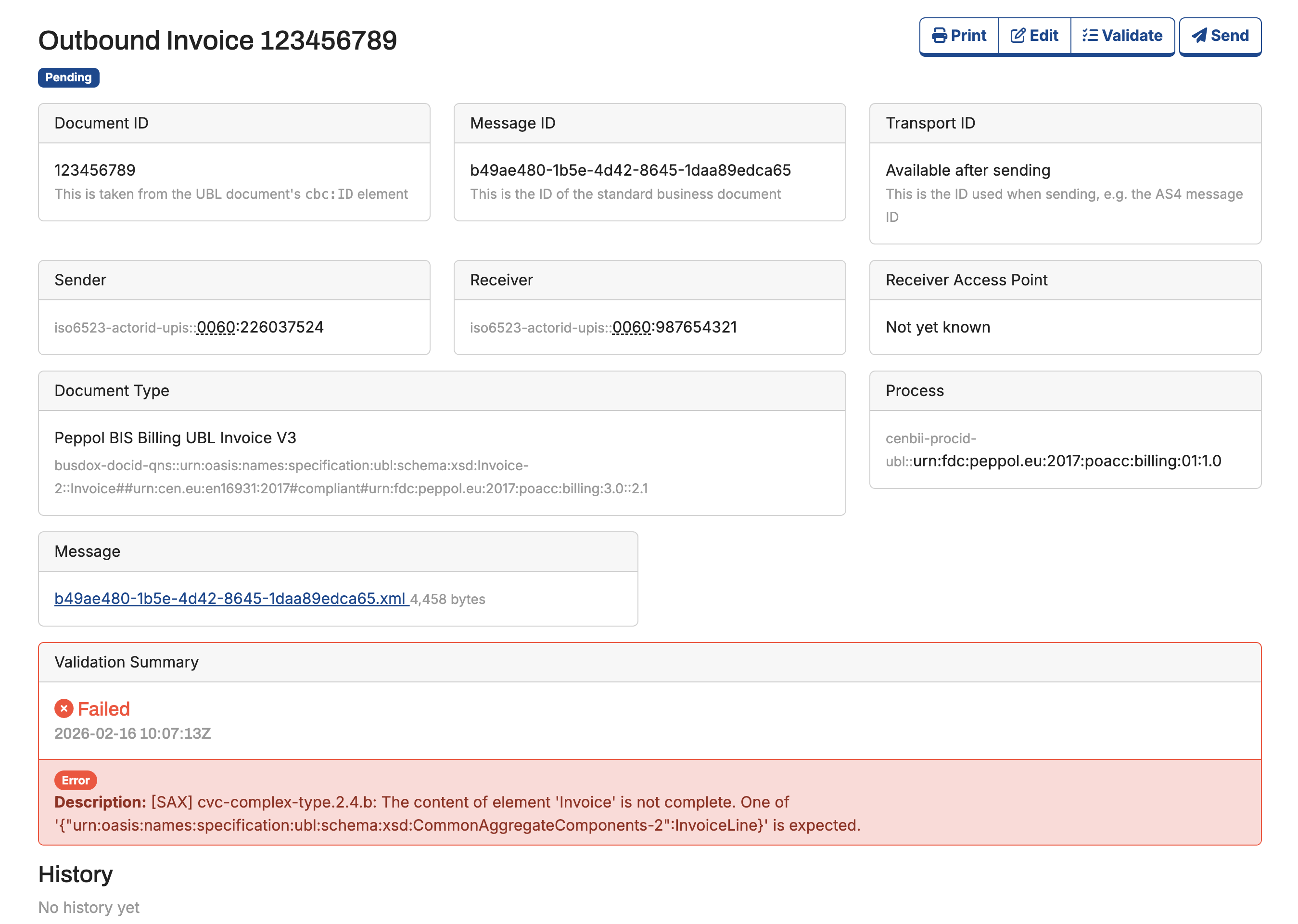 The Message Details screen for a message that failed validation, listing the issues